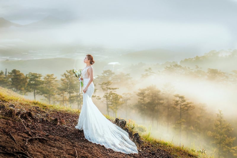Wedding Dresses
